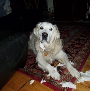 Meet your Posher, Beth